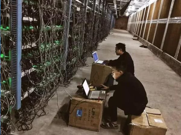 Hosted Mining vs. Home Mining: A Smart Choice for Bitcoin Miners